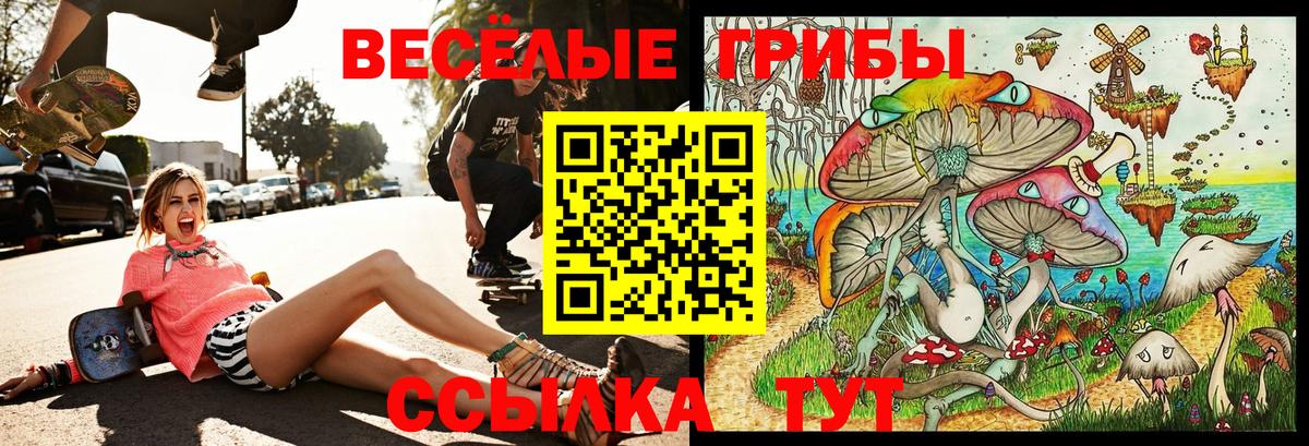 Псилоцибиновые грибы Psilocybe Дзержинск